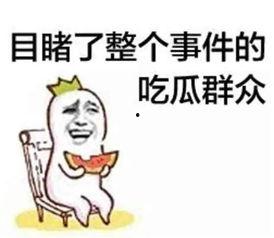 吃瓜群众在七零,吃瓜群众的欢乐时光  第2张